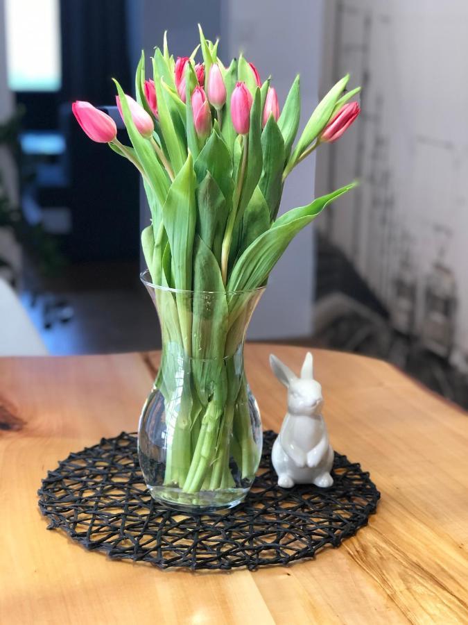 Apartament Loft Leilighet Bielsko-Biała Eksteriør bilde